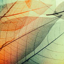 DD118588 Limpid Leaf Designwalls Wallpaper by A S Creation
