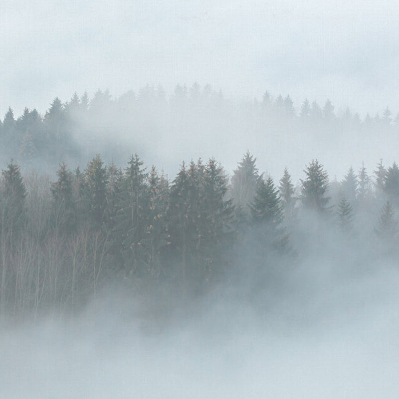 DD118604 Misty Forest Designwalls Wallpaper by A S Creation