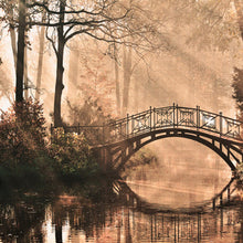 Park Bridge Designwalls Wallpaper by A S Creation