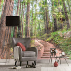 DD118626 Forest Walk Designwalls Wallpaper by A S Creation
