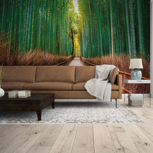 DD118630 Bamboo Walk Designwalls Wallpaper by A S Creation