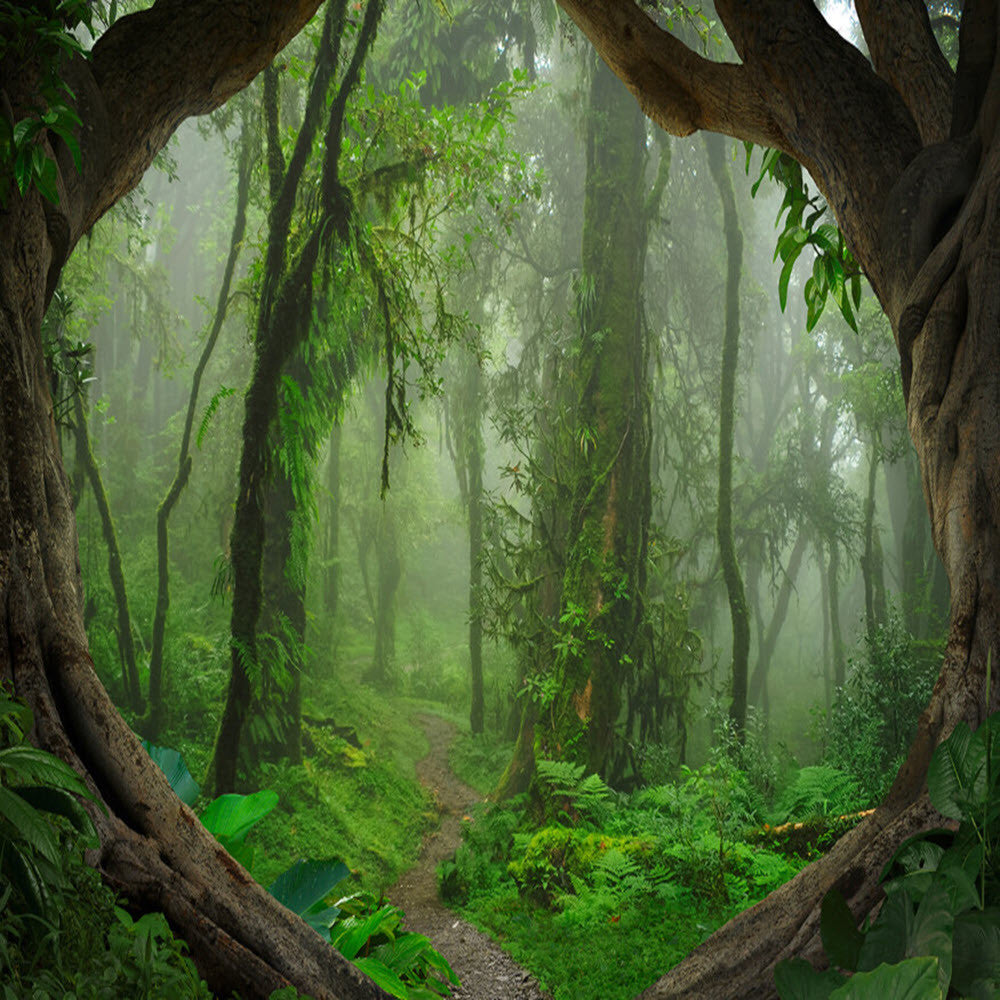 DD118632 Tropical Forest Designwalls Wallpaper by A S Creation