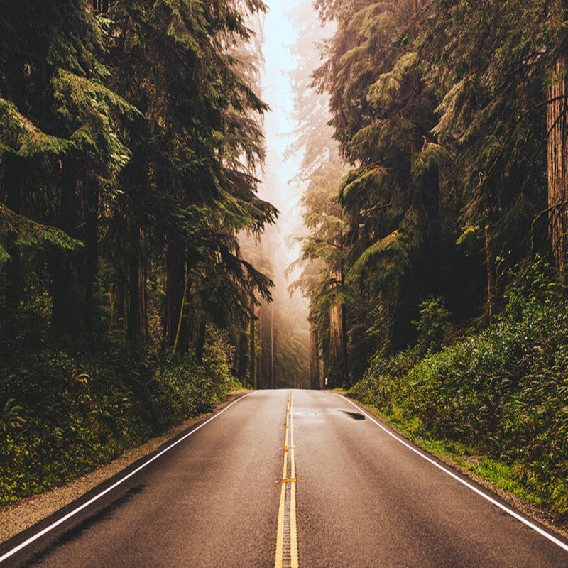DD118636 Road Trip Designwalls Wallpaper by A S Creation