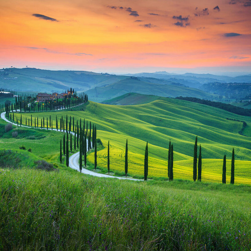 DD118650 Tuscany Designwalls Wallpaper by A S Creation