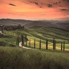 Tuscany Designwalls Wallpaper by A S Creation