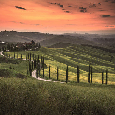 Tuscany Designwalls Wallpaper by A S Creation
