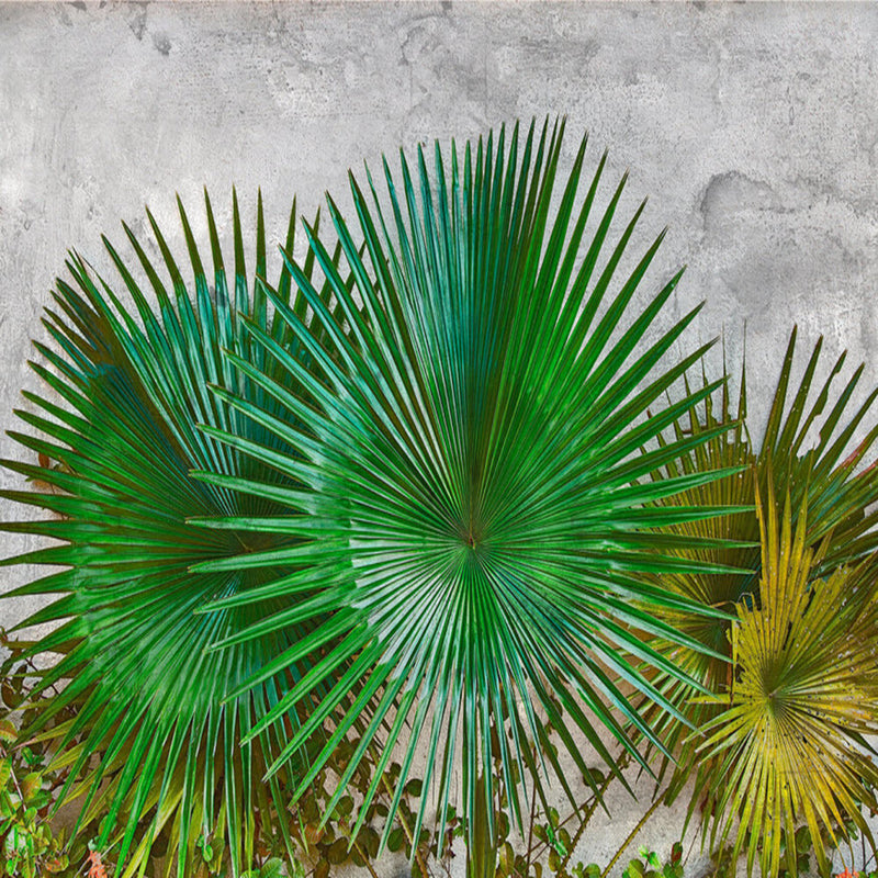 DD118710 Agave Leaves Designwalls Wallpaper by A S Creation