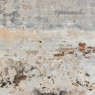 DD118764 Old Wall Designwalls Wallpaper by A S Creation