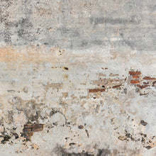 DD118764 Old Wall Designwalls Wallpaper by A S Creation
