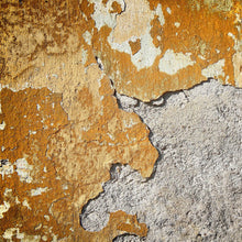 Concrete Old Designwalls Wallpaper by A S Creation