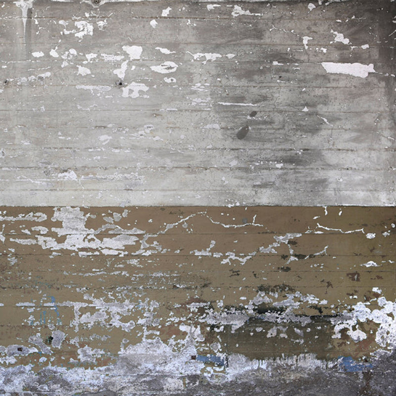 DD118788 Concrete Coated Designwalls Wallpaper by A S Creation