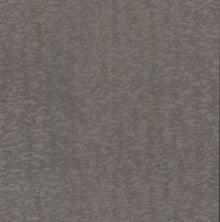 DD3751 Weathered Cypress Silver Dazzling Dimensions Wallpaper by York Wallcoverings