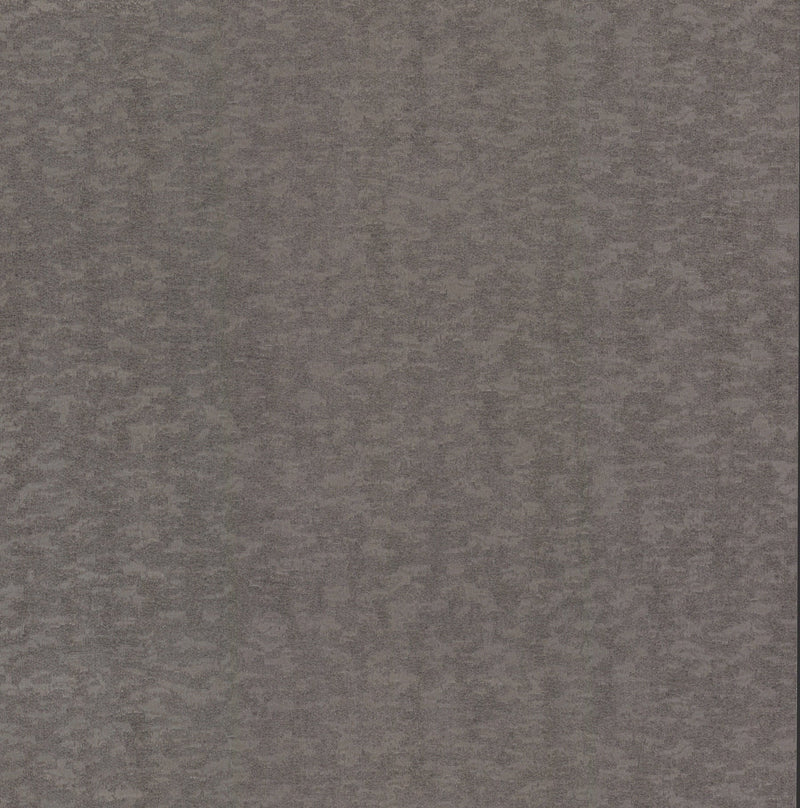 DD3751 Weathered Cypress Silver Dazzling Dimensions Wallpaper by York Wallcoverings