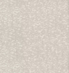 DD3754 Weathered Cypress White Dazzling Dimensions Wallpaper by York Wallcoverings