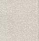 Weathered Cypress White Dazzling Dimensions Wallpaper by York Wallcoverings