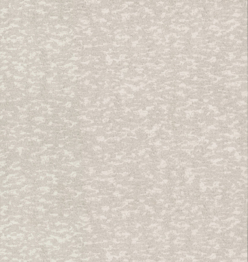 DD3754 Weathered Cypress White Dazzling Dimensions Wallpaper by York Wallcoverings