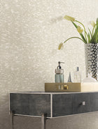 DD3754 Weathered Cypress White Dazzling Dimensions Wallpaper by York Wallcoverings