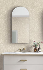 DD3754 Weathered Cypress White Dazzling Dimensions Wallpaper by York Wallcoverings