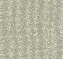 DD3801 Galaxies Green Dazzling Dimensions Wallpaper by York Wallcoverings