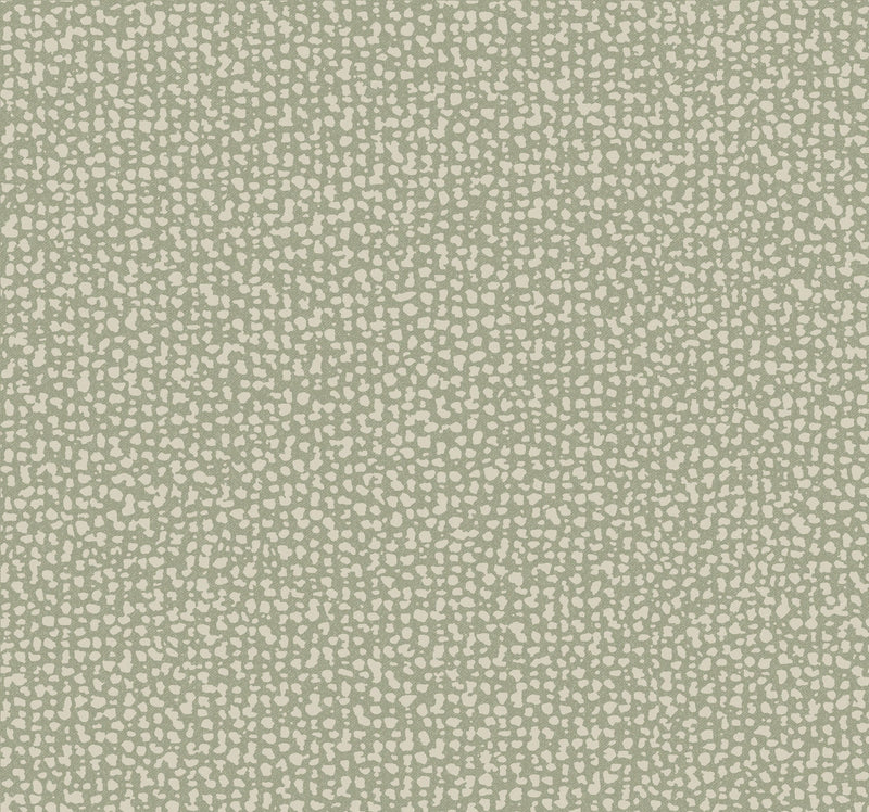 DD3801 Galaxies Green Dazzling Dimensions Wallpaper by York Wallcoverings