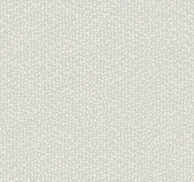 DD3804 Galaxies Grey Dazzling Dimensions Wallpaper by York Wallcoverings