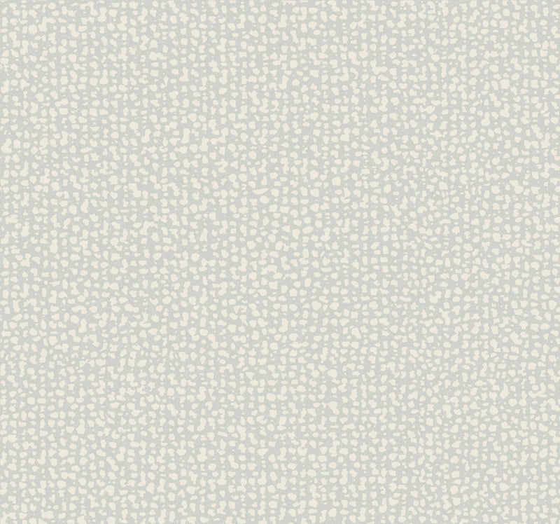 DD3804 Galaxies Grey Dazzling Dimensions Wallpaper by York Wallcoverings