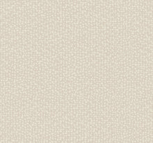 DD3805 Galaxies Beige Dazzling Dimensions Wallpaper by York Wallcoverings