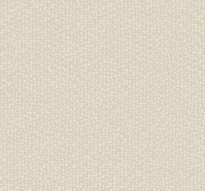 DD3805 Galaxies Beige Dazzling Dimensions Wallpaper by York Wallcoverings