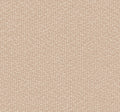 Galaxies Clay Dazzling Dimensions Wallpaper by York Wallcoverings