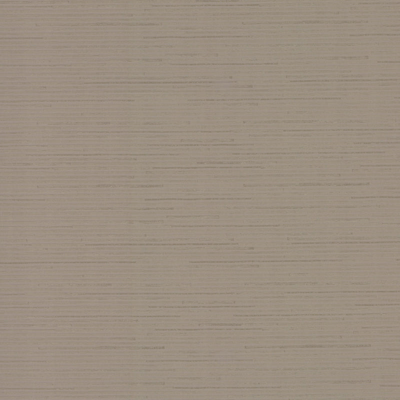 DD3832 Ribbon Bamboo Silver Metallic Dazzling Dimensions Wallpaper by York Wallcoverings