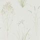 Farne Grasses Embleton Bay Wallpaper By Sanderson