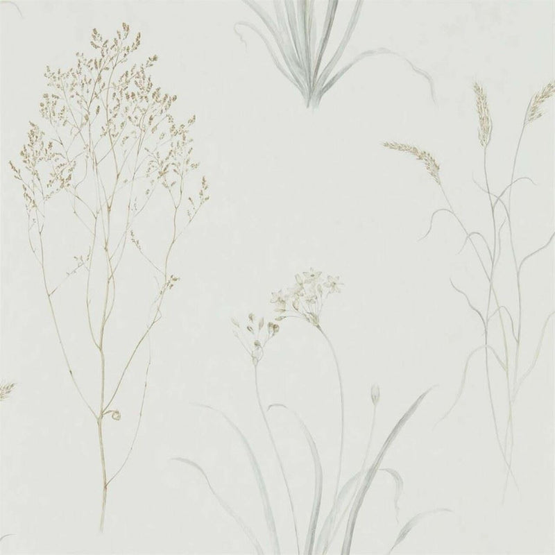 216487 Farne Grasses Embleton Bay Wallpaper By Sanderson