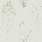216488 Farne Grasses Embleton Bay Wallpaper By Sanderson