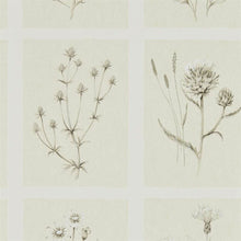 216511 Little Thistles Embleton Bay Wallpaper By Sanderson