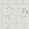 Little Thistles Embleton Bay Wallpaper By Sanderson