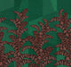 Yucatan Viridis Amani Mural by Masureel