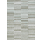 Iwa Silver Traces Mural by Masureel