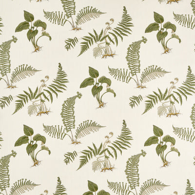 Hosta & Fern Highgrove Olivine Fabric by Sanderson
