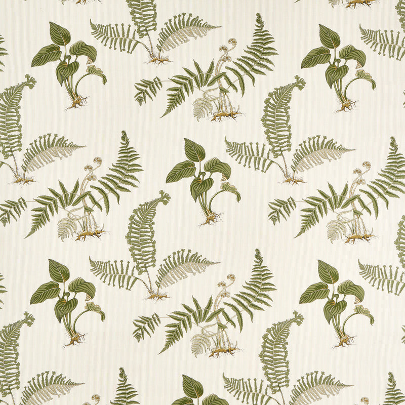 227337 Hosta & Fern Highgrove Olivine Fabric by Sanderson