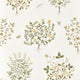 Thyme Walk Highgrove Lichen/Gooseberry Wallpaper by Sanderson