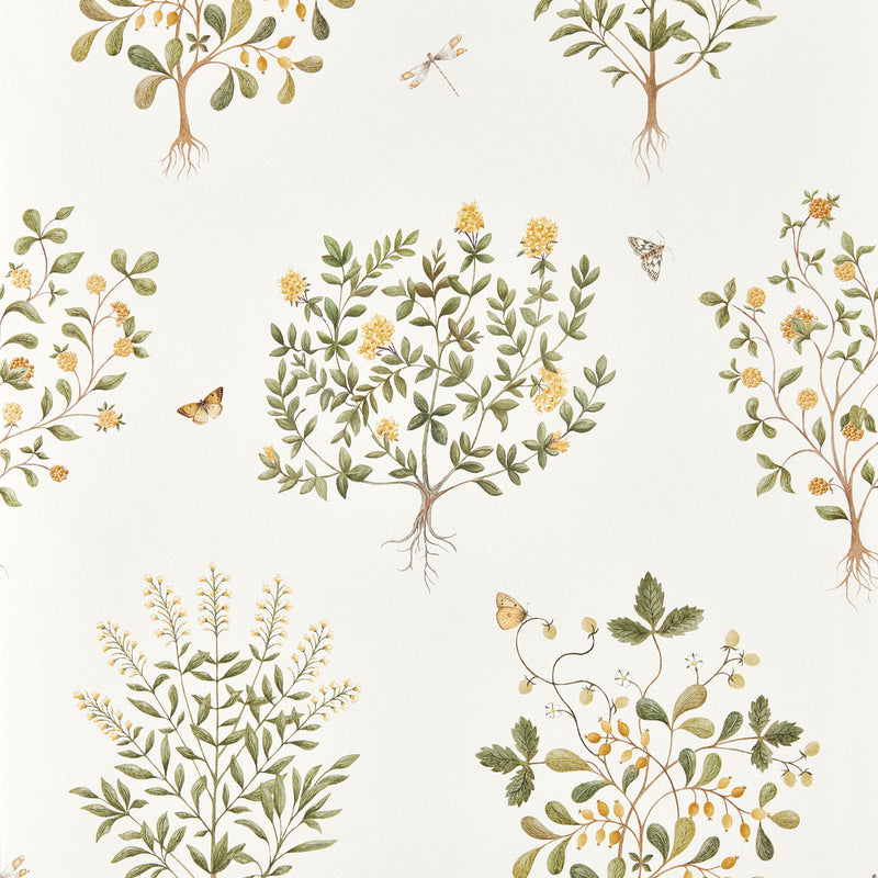 217508 Thyme Walk Highgrove Lichen/Gooseberry Wallpaper by Sanderson