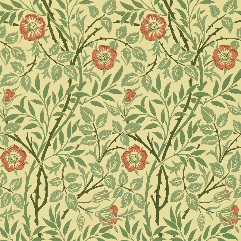 DMC130101 Sweet Briar Morris & Friends Green and Rust Wallpaper by Morris & Co