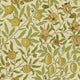 Fruit Compendium I & II Wallpaper By Morris & Co