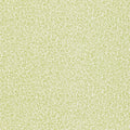 Standen Compendium I & II Wallpaper By Morris & Co