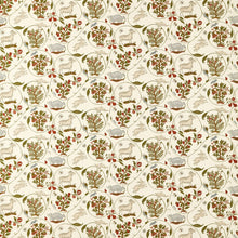 237805 Lost Orchard Chintz Sanderson x National Trust Volume II Fabric by Sanderson