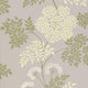 Cowparsley One Sixty Wallpaper By Sanderson