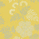 Cowparsley One Sixty Wallpaper By Sanderson