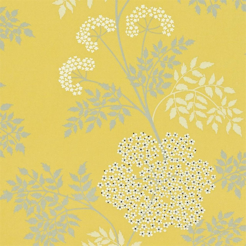DOPWCO105 Cowparsley One Sixty Wallpaper By Sanderson