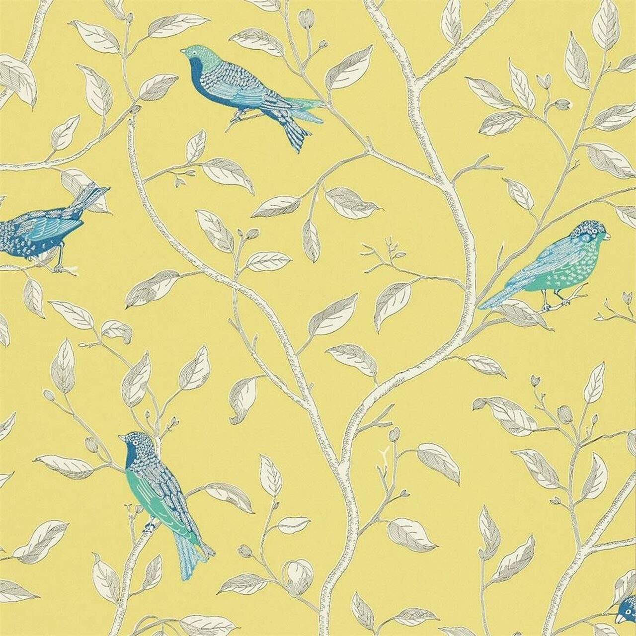 DOPWFI101 Finches One Sixty Wallpaper By Sanderson