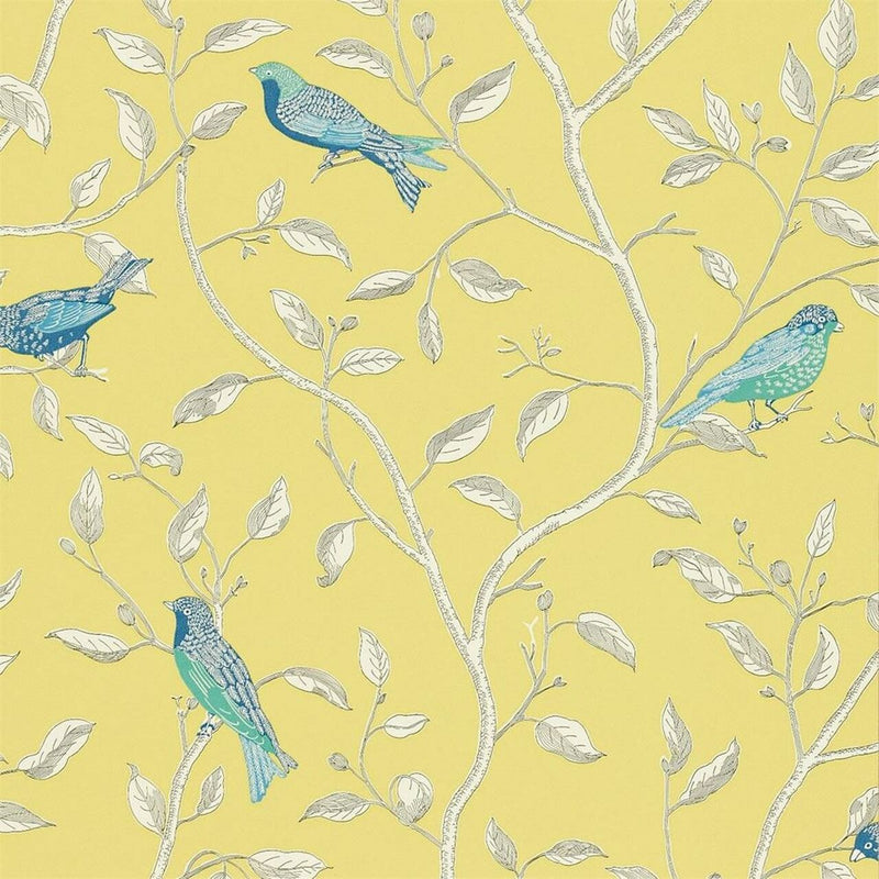 DOPWFI101 Finches One Sixty Wallpaper By Sanderson